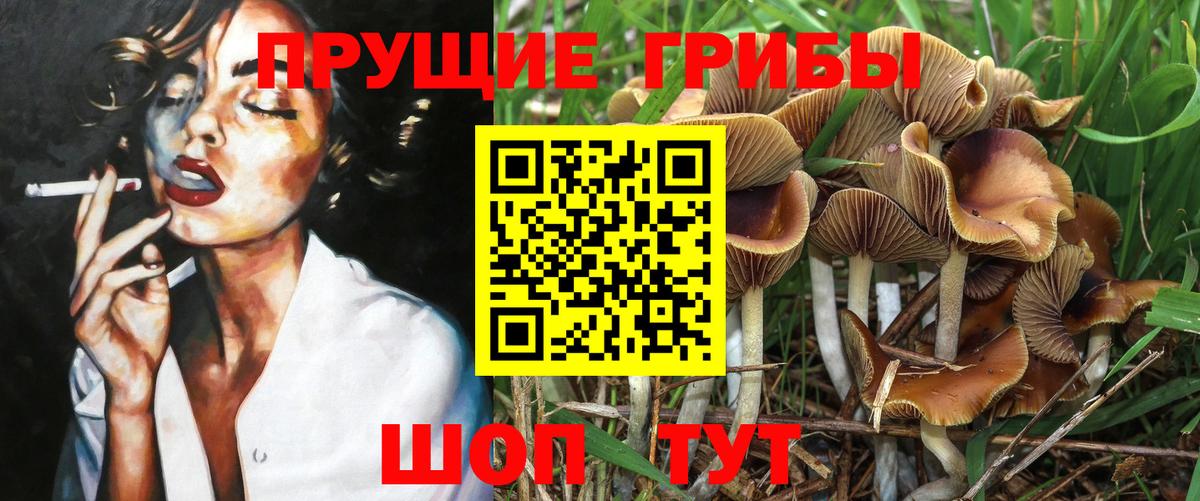 Галлюциногенные грибы мицелий Сокол