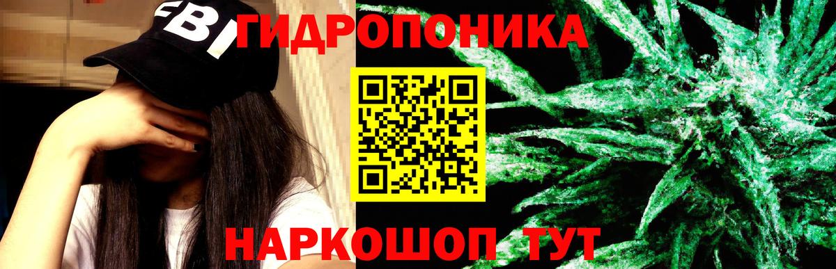 Марихуана SATIVA & INDICA Сокол